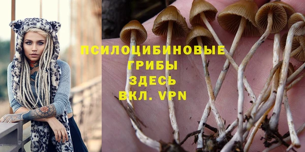 spice Абдулино